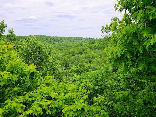 Bernheim Forest and Arboretum