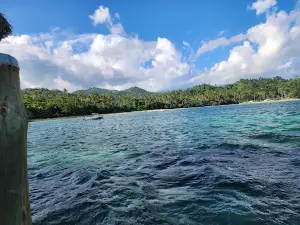 Maui Jetty