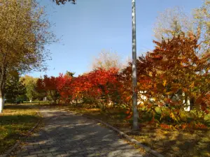 Kapchagay Central park