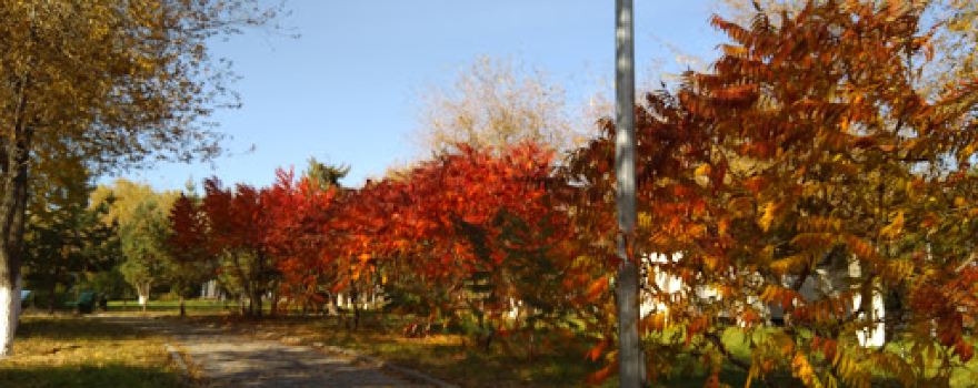 Kapchagay Central park
