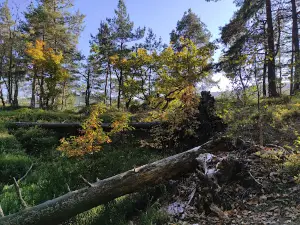 Rozprávkový chodník škriatka Mikluša
