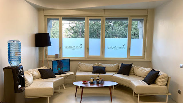 Ariel Medical Torino