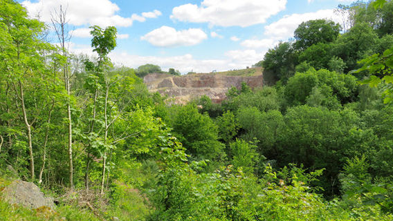 Wick Golden Valley Nature Reserve