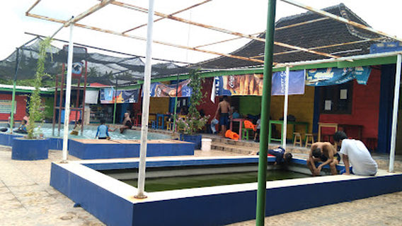 Kolam Renang Brangkal