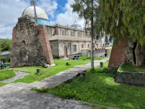 Museo de la Momia