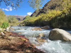 Manzano Historico Tunuyan