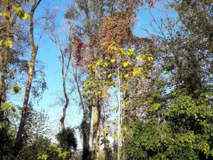 Oasis of Bosco Pantano
