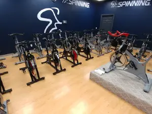 Body Vision Fitness & Aquatic