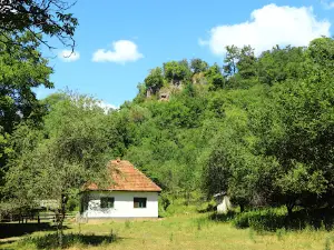 Cetatea Piatra Șoimului