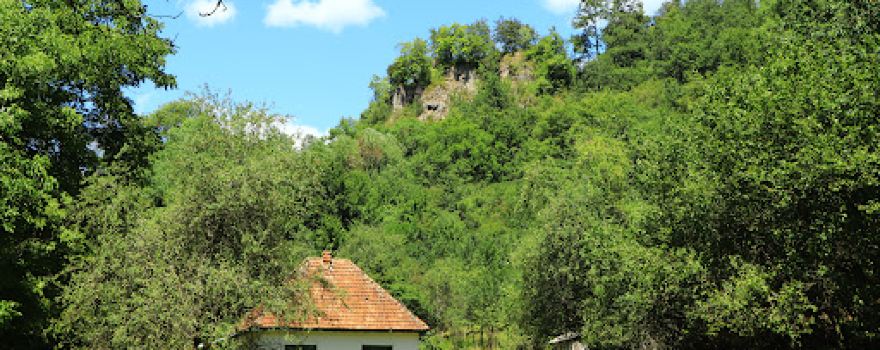 Cetatea Piatra Șoimului
