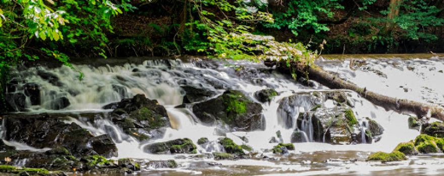 Clare Glen