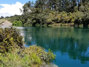 Waikato River