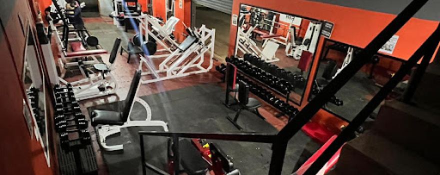 BIG EGO GYM