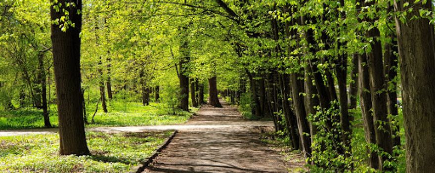 Park Im. Ivana Franka