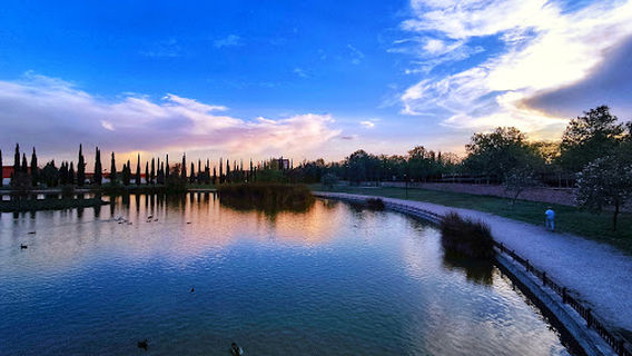 Ciudad de Mayari Park