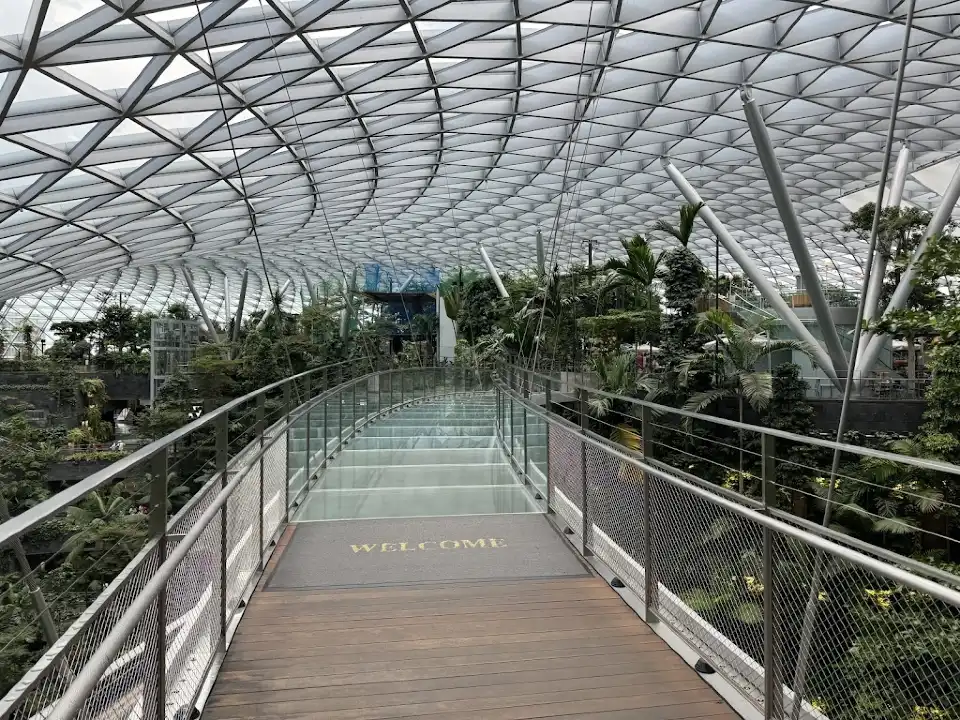 Canopy Bridge