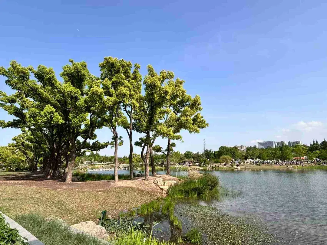 4_Shanghai Botanical Garden