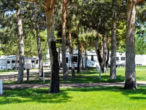 Anderson Camp