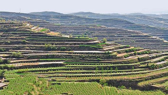 Zhaodungou Terrace Ecology Scenic Area