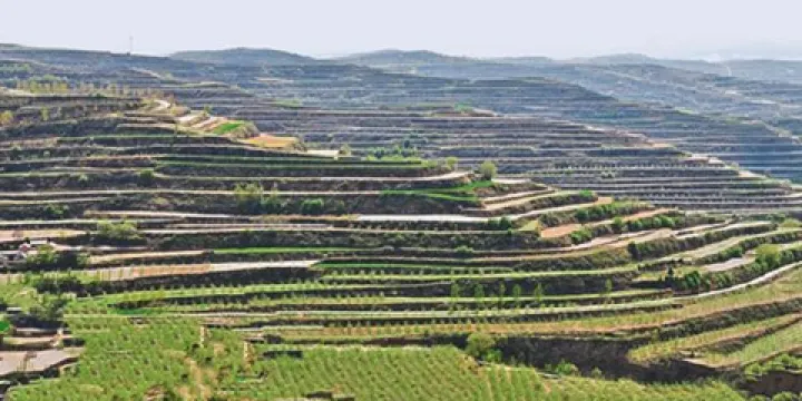 趙墩溝梯田生態風景區