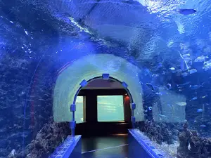 Akvariet i Bergen - The National Aquarium