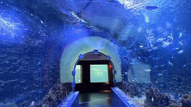 Akvariet i Bergen - The National Aquarium