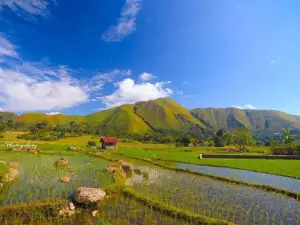 SIHOTANG BUKIT HOLBUNG HARIARA POHAN