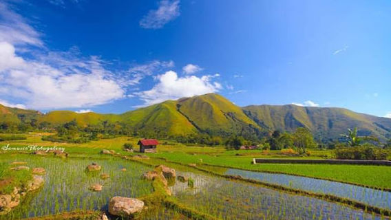 SIHOTANG BUKIT HOLBUNG HARIARA POHAN