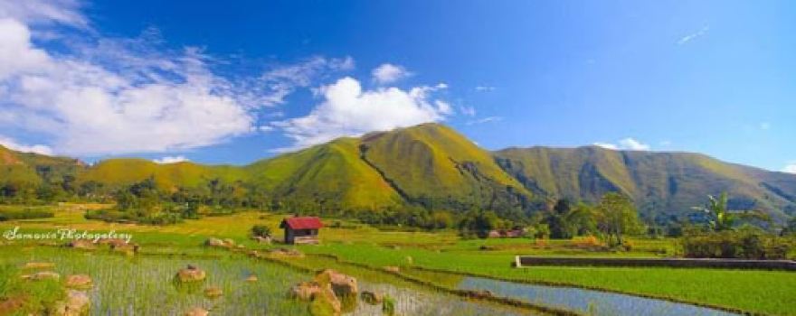 SIHOTANG BUKIT HOLBUNG HARIARA POHAN