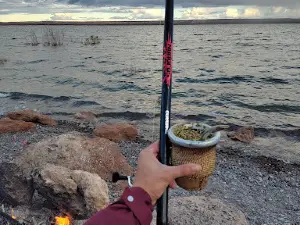 Puesto PARDO