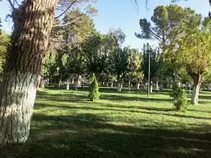 BAĞ PAZARI TAVAS MESİRE ALANI