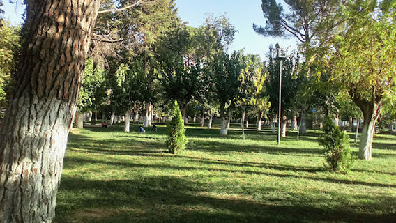 BAĞ PAZARI TAVAS MESİRE ALANI