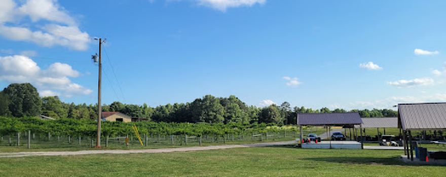 Seven Springs Farm And Vineyard