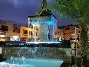Parque Nazacota Puento