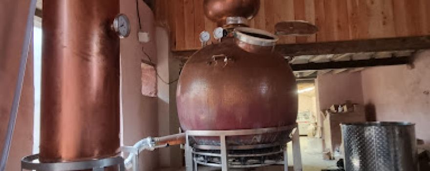Distillerie Coqlicorne