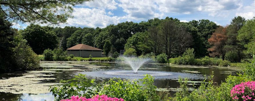 Owen Bell Park