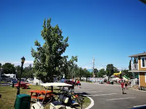 Camping des Aulnaies Inc