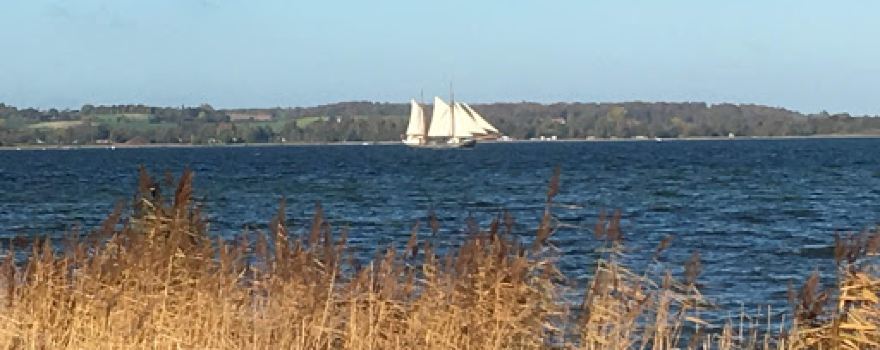 Lammefjorden