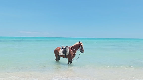 bateaux pirate djerba officiel