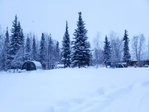 Coldfoot