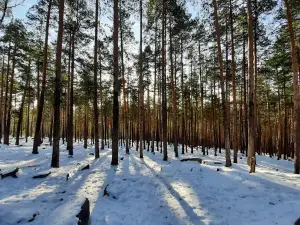 Чёртово Городище