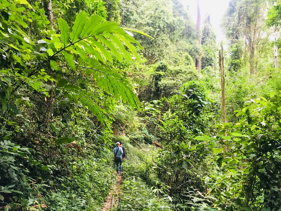 4_素貼山國家公園