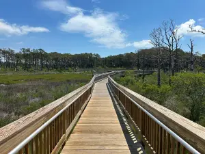 Assateague Island National Seashore