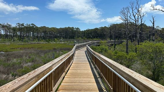 Assateague Island National Seashore
