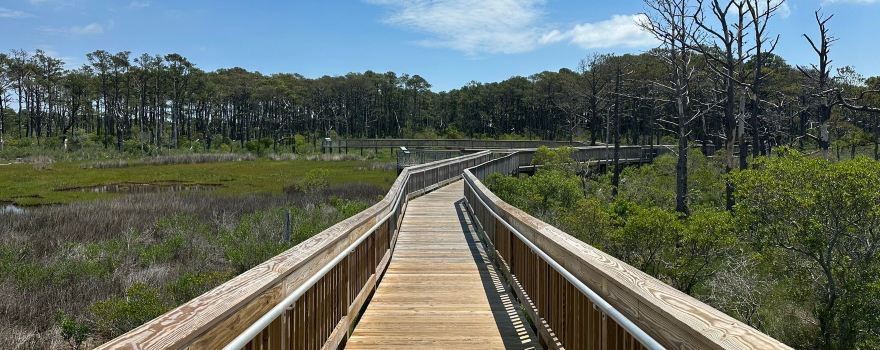 Assateague Island National Seashore