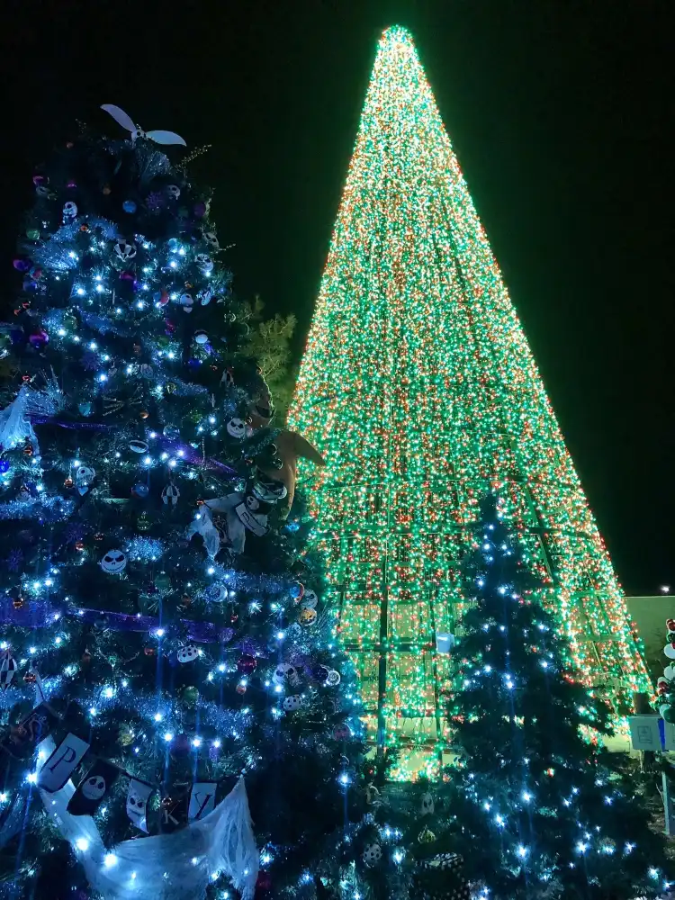 Các khách sạn gần Magical Forest