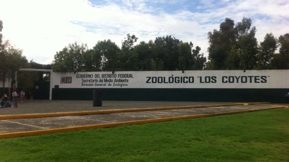 Coyoacan