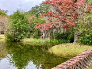 Brookgreen Gardens