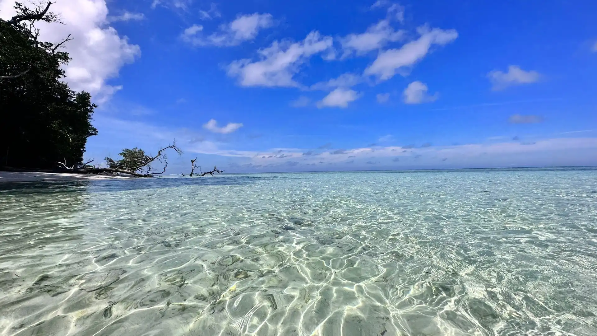 Hotels near Scuba Junkie