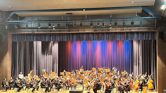 Municipal Theater José de Castro Mendes